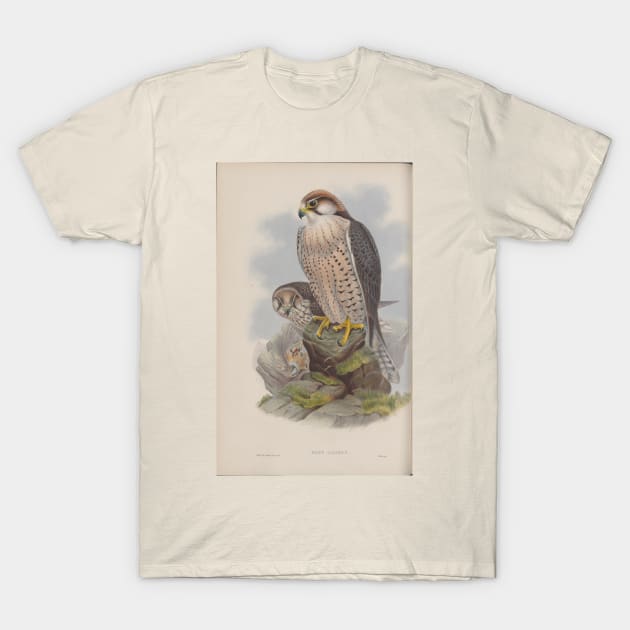 Falcons T-Shirt by pocketlama